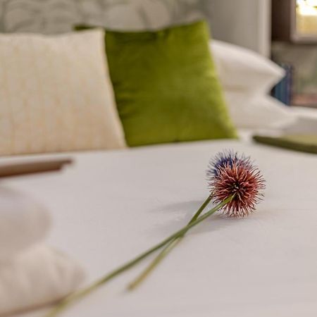 רומא Green Terrace Loft Colosseum מראה חיצוני תמונה